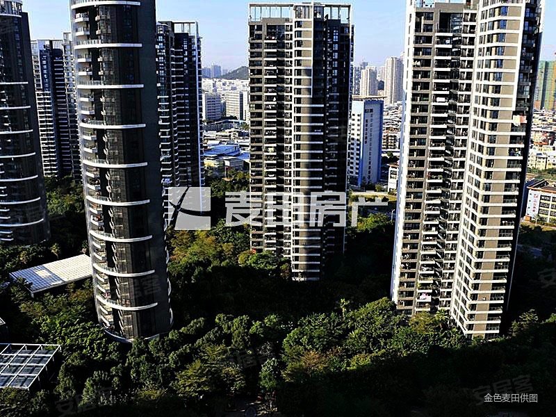 海峡国际社区二期近地铁交通便捷小区绿化高产权清晰