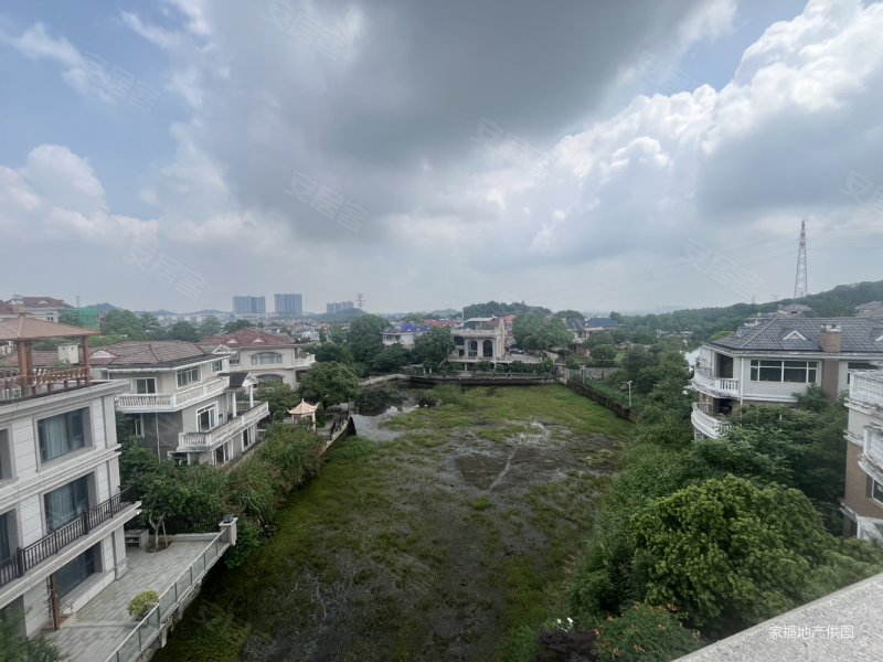 同升湖 独栋别墅  已改建 大理石上墙 超大花园