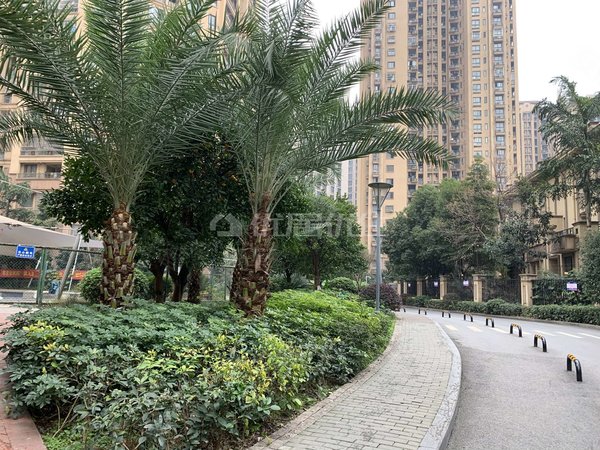 重庆渝北回兴国际家纺城(a区)9号线青岗坪站旁 住宅精装一室 干净整洁