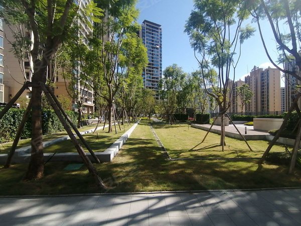 攀枝花仁和仁和城区恒邦双林悦山府一期悦山府精装一室出租 家具家电