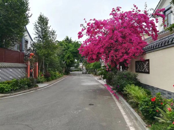 广州从化街口中心区逸泉山庄(别墅)逸泉山庄(别墅) 3室2厅3卫 145平
