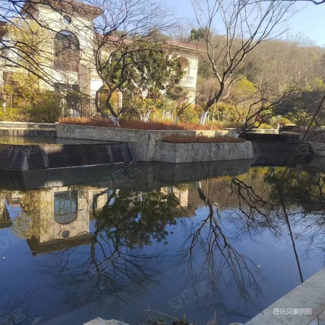 新湖香格里拉蓝月半岛东区法式双拼别墅  前面水后靠山位置佳