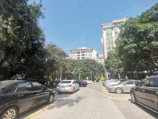 深圳龙岗横岗隆盛花园新出租,四联小学附近,隆盛花园 2房2厅.