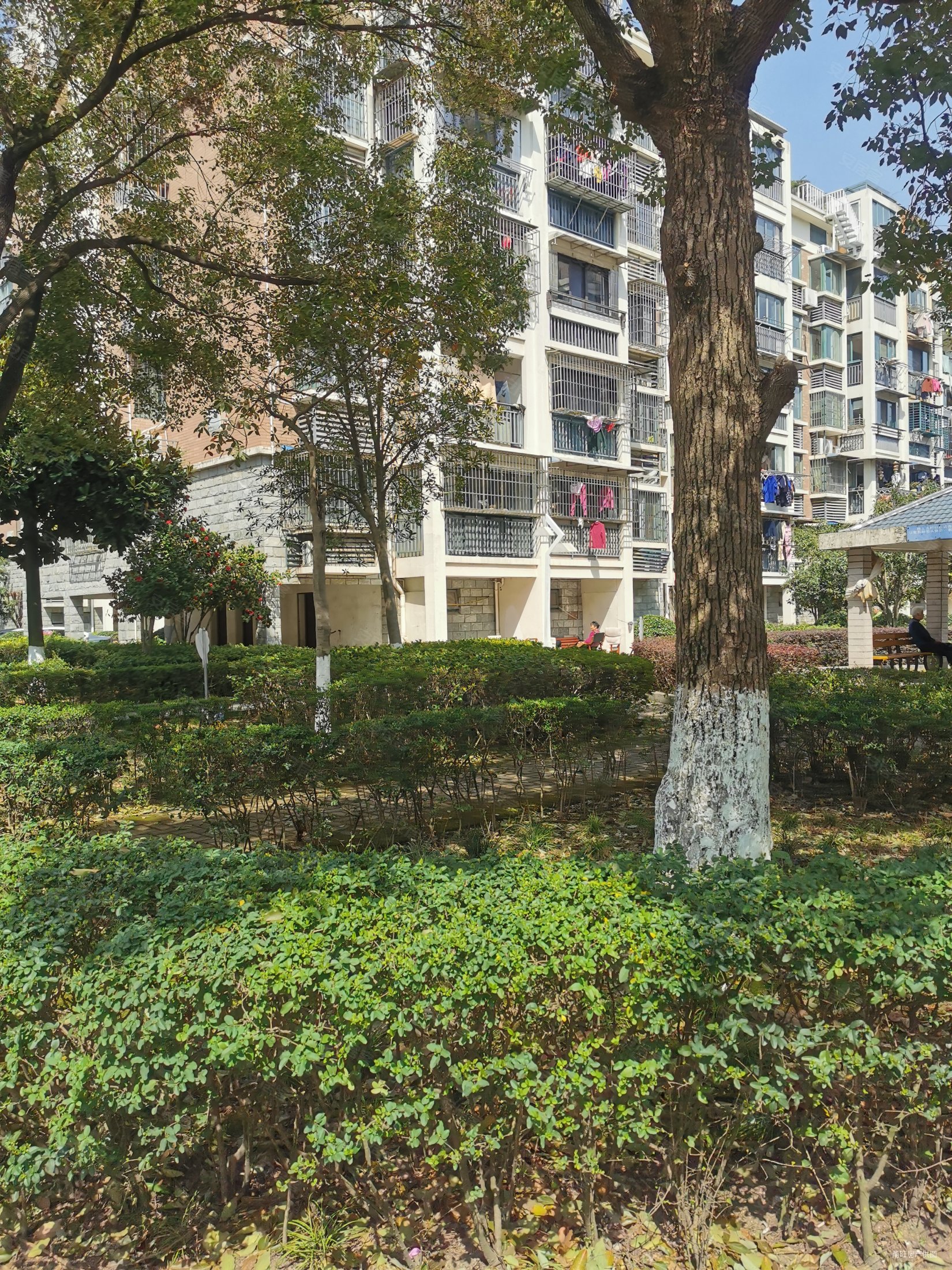 东裕新村四期靠东首楼层佳采光好小区环境佳有钥匙看房方便