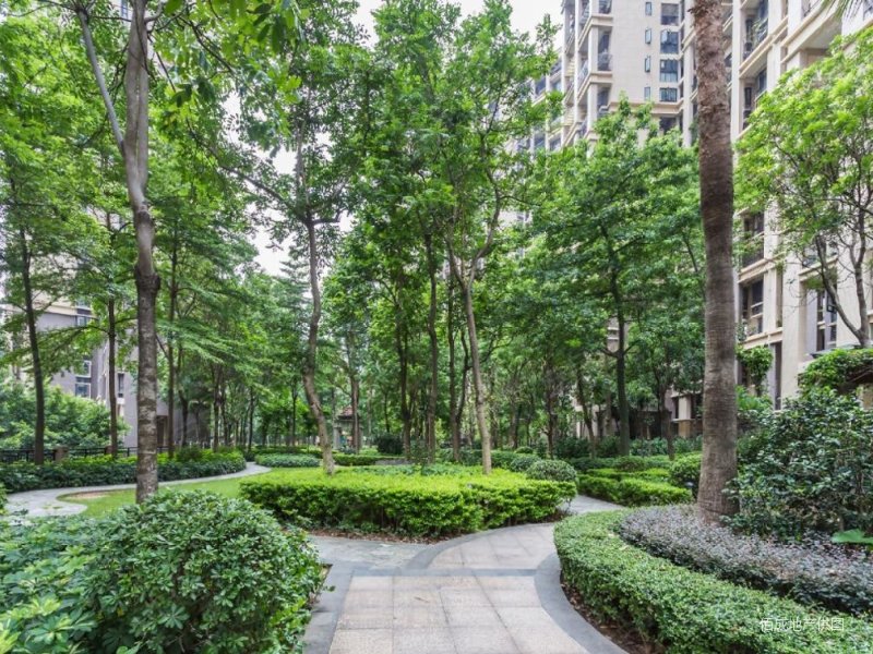 中海西岸华府北区南北主卧客厅双阳面高层视野好家庭一