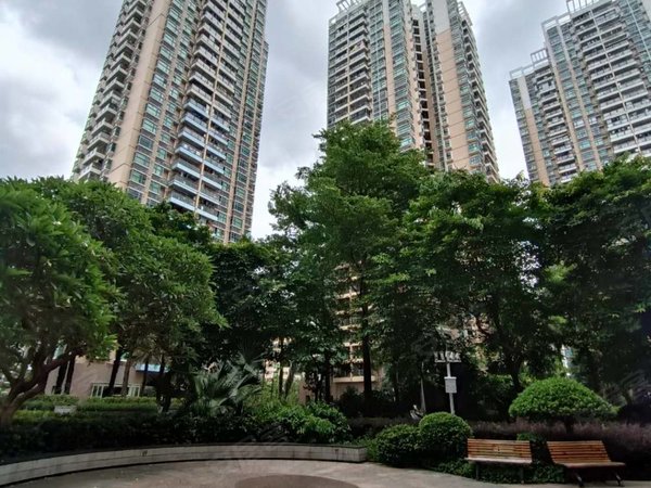 深圳福田新洲绿景花园(二期)绿景花园二期48平大空间电梯空中花园出租