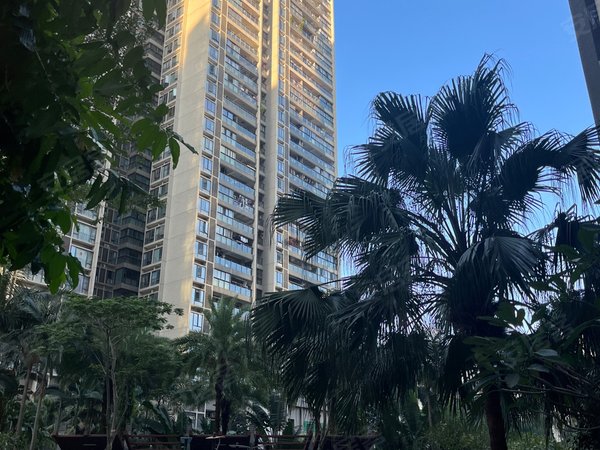 深圳南山南头田厦翡翠明珠花园(商住楼)桃园地铁站 翡翠明珠花园 精装