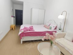 武汉黄陂盘龙城7号线地铁口 奥特莱斯旁 精装温馨1房 家具家电全齐拎包入住出租房源真实图片