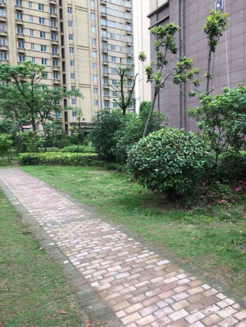 油坊新城3室2厅2卫120㎡南120万