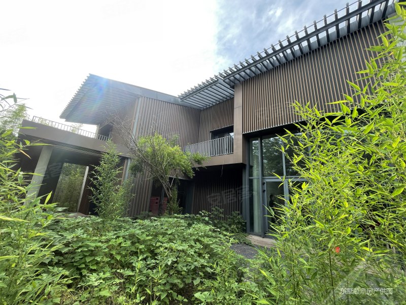 有钥匙 挑高客厅 500平花园 证大九间堂别墅独栋 纯毛胚