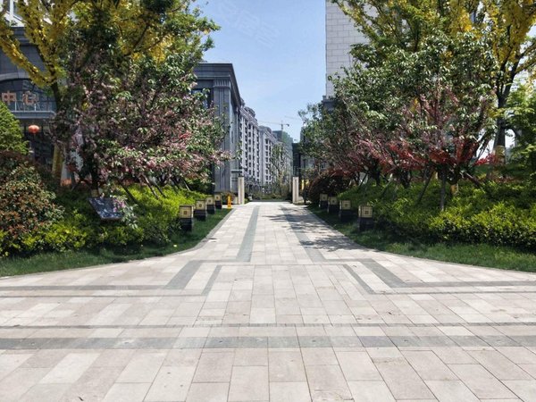 丨南附医丨新弄里旁丨望府景园三房丨配套齐全,盐都租房-盐城58安居客