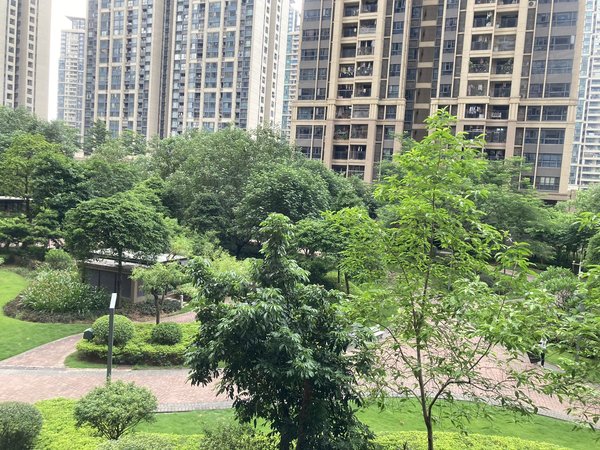 万胜围租房,琶洲新村 2室1厅1卫 电梯房 精装修71平米,海珠租房-广州