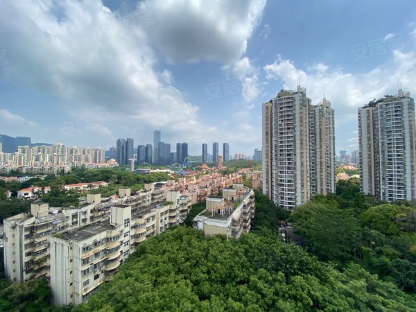 深圳南山华侨城世界花园海华居急租 精装实用三房 中高楼层 餐厅客厅