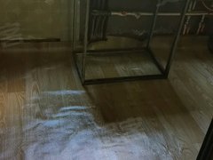 银川西夏怀远路红领地香苑 2室1厅1卫出租房源真实图片