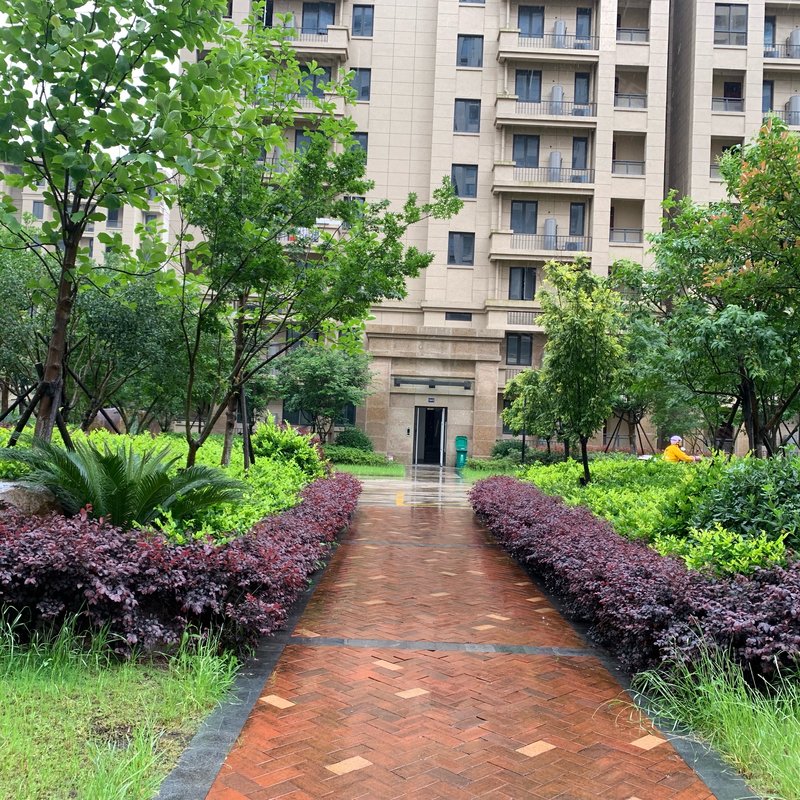 卡森卫星城红杉园