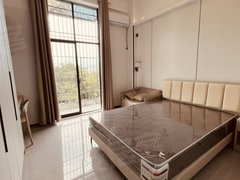 深圳龙岗南联南约地铁站精装独栋公寓拎包入住押一付一本月免租金电梯房出租房源真实图片