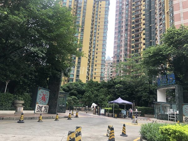 【多图】丽景湾,滨江东租房,丽景湾 望江 3房2卫 全新装修出租 如图