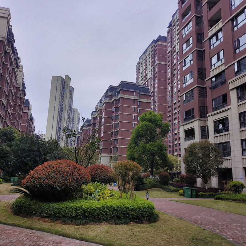 福鼎泰禾红树林