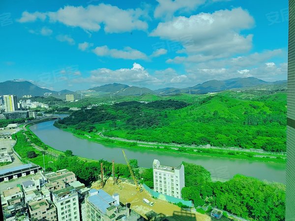 深圳罗湖火车站罗湖金岸罗湖金岸 1室 电梯房 配套齐全 精装修出租