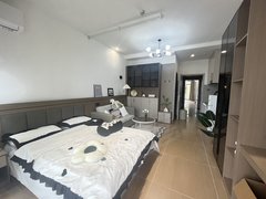 武汉沌口开发区郭徐岭广场全新装修 可短租押一付一 养小猫 包网络 可办车位 地铁口出租房源真实图片