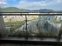 深圳南山华侨城新上 房子我看过，景观好美 2个房间和客厅都是看山景满眼翠绿出租房源真实图片