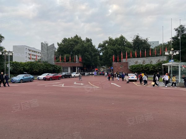 天生丽街西大2号门业主小孩出国自住首租朝东南阳光充足,北碚租房