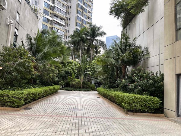 深圳南山西丽西丽蓝天花园实拍!精装全齐两房!高层视野开阔!居家舒适!