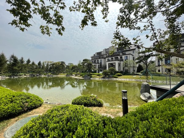 北京顺义新国展龙湖云河玉陛龙湖玉陛特价房源 请您查收出租房源真实