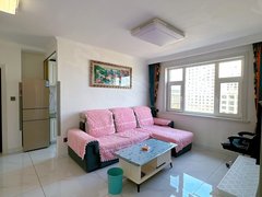 四平铁西宝泰购物广场押一付一1000，中心医院附近，大禹奥城一室一厅大户型出租房源真实图片