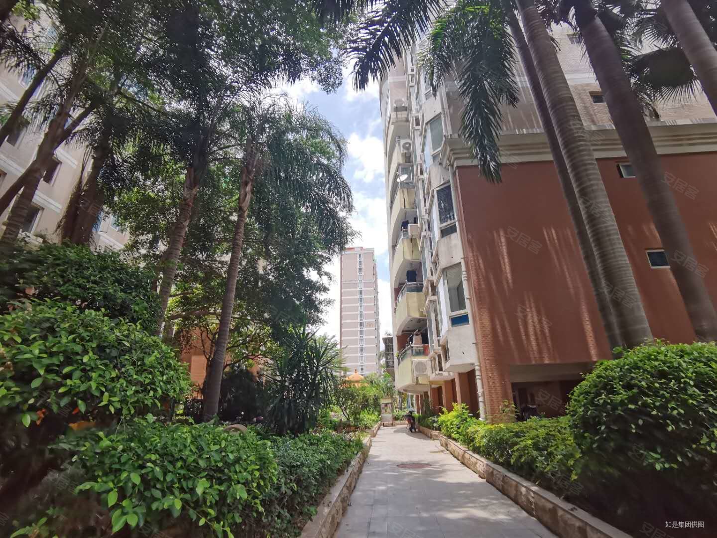 带电梯 中间楼层采光好 商品住宅 商业配套成熟 南北通透,金帝花园