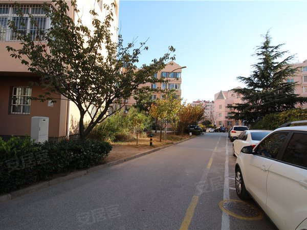 青岛崂山金家岭金岭花园(a区)金岭花园a区 精装套一 家具家电齐全