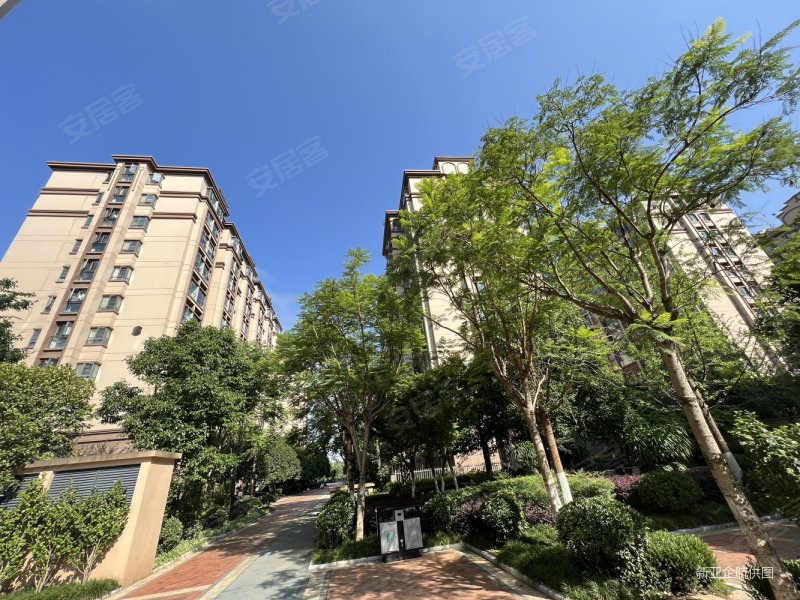 地铁口 中海半岛华府 电梯花园洋房南北通透 带80平 花园