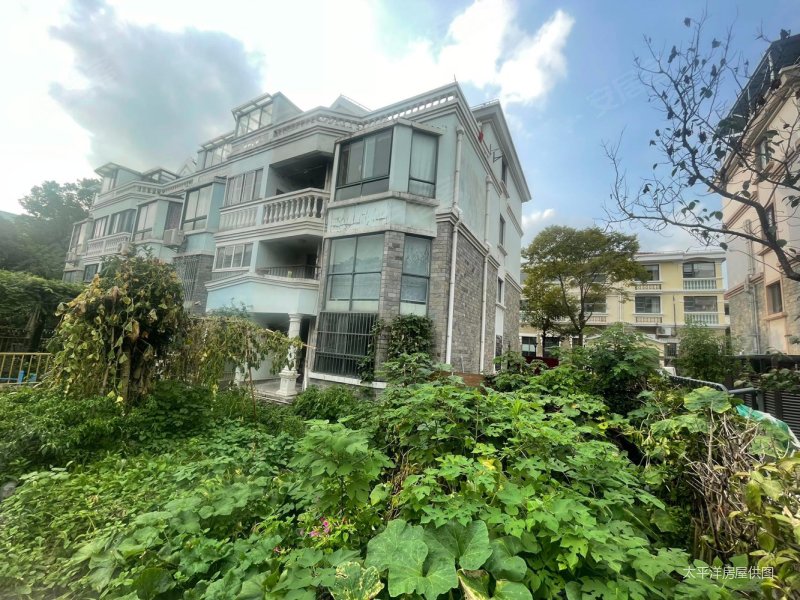 金水湾东边套大联排,总价低花园大,毛坯可改造性强,金水湾(别墅)二手