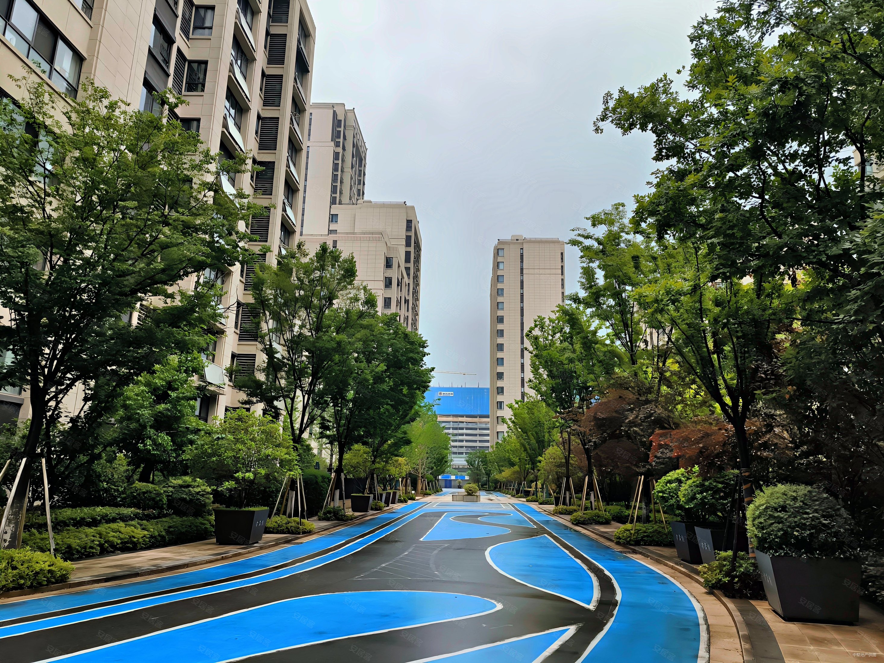 急用钱省府版块纯边户经典3房次新小区随时看房