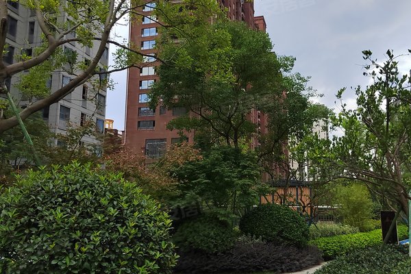 金华小区 东阳小区 东阳市区小区 中南新城樾府 中南新城樾府怎么样