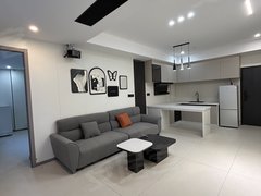 苍南灵溪物资商厦江湾路454号出租 豪华一室一厅拎包入住可养宠物可短租无中介出租房源真实图片