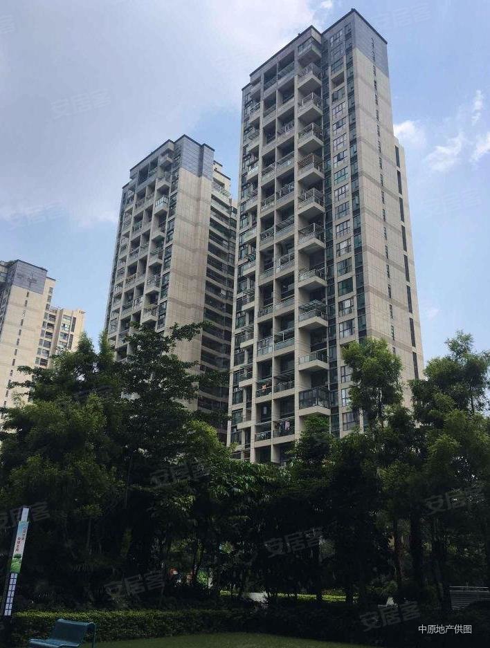 小区超便宜业主降价50万接近指导价出售阳光天健城