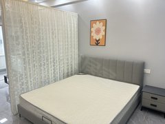 合肥新站陶冲湖全屋智能家居 可短租可月付 小米空调低能耗家具 安全感满满出租房源真实图片