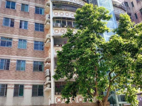 汕头龙湖珠港新城中泰花园星湖公园旁 中泰花园 花园小区三楼 双套间