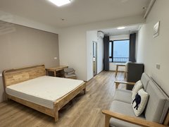 武汉洪山白沙洲正规精装修一居室情侣单身必备全新家具电器中建铂公馆洪山万科出租房源真实图片