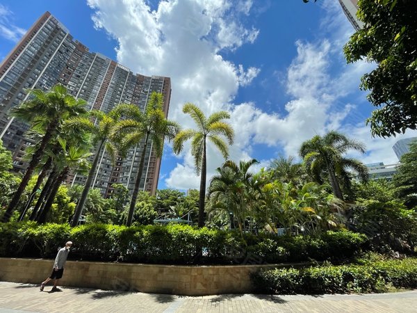 深圳龙华民治汇龙湾花园深高旁边汇龙湾花园104平米大三房,业主急租