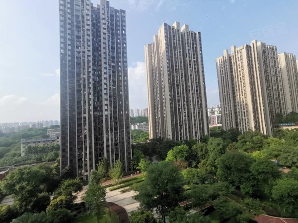 重庆南岸南坪保利观塘泽园全红橡实木家具 朝南 精装两房 家具家电