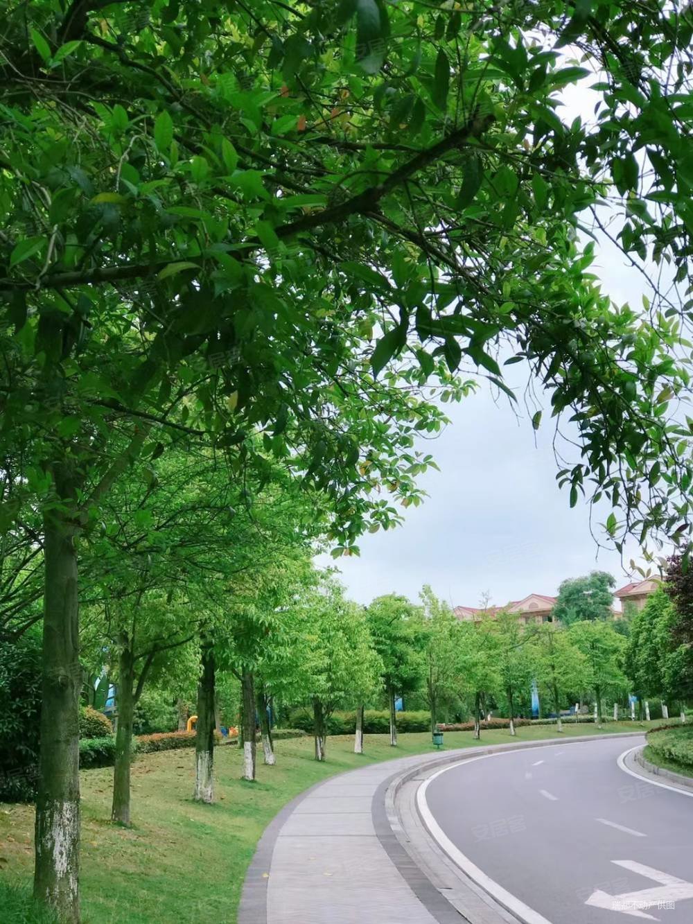 麓山大道 雅居乐 套三双卫精装带家具家电出售,成都雅居乐花园二手房