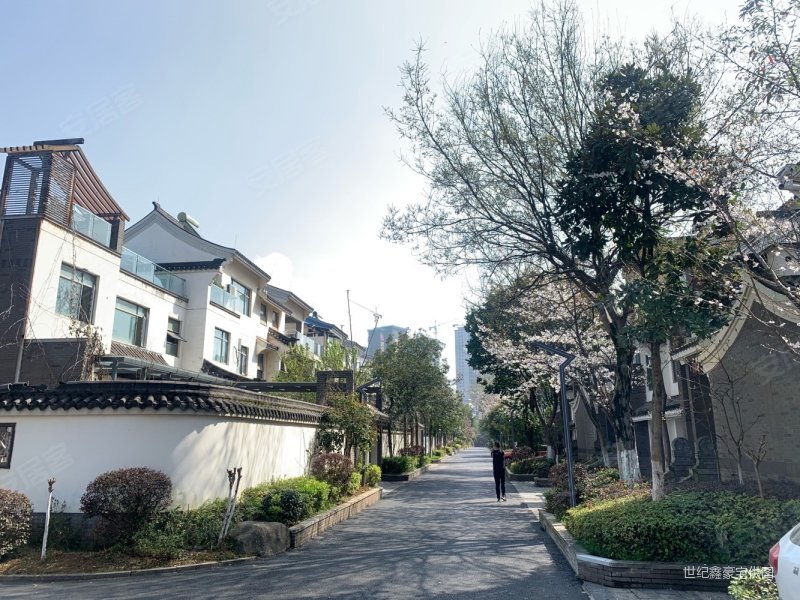 盘龙湾桂苑新出大花园联排带采光天井车库可停3辆车