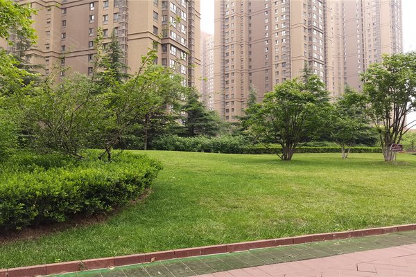 西安小区 西安周边小区 咸阳小区 白桦林印象 白桦林印象怎么样