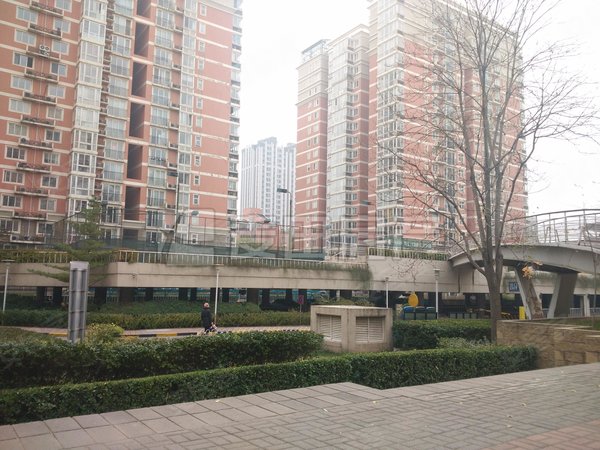 【多图】华清嘉园,五道口租房,1室1厅 华清嘉园,海淀租房-北京58安居