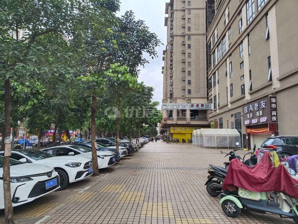 【多图】滨江华府,相思湖新区租房,滨江华府精装两房1400拎包入住看房