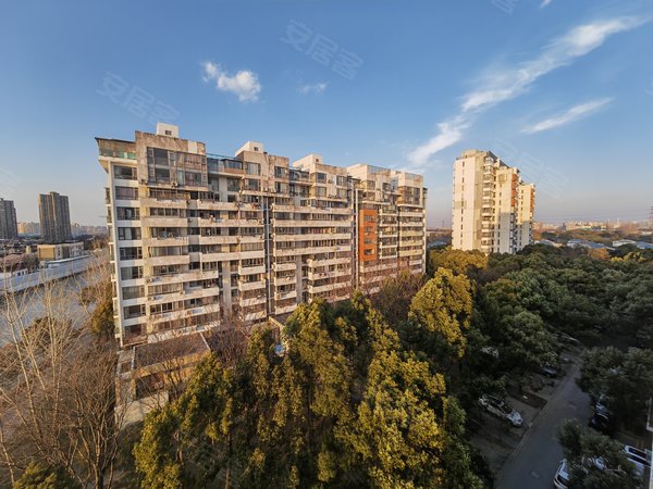 上海浦东康桥康桥半岛城中花园近18号线康桥站 近康桥大润发 房直东租