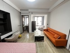 永州零陵红星美凯龙碧桂园正央公园 精装公寓 独立阳台 家电齐全 拎包入住出租房源真实图片