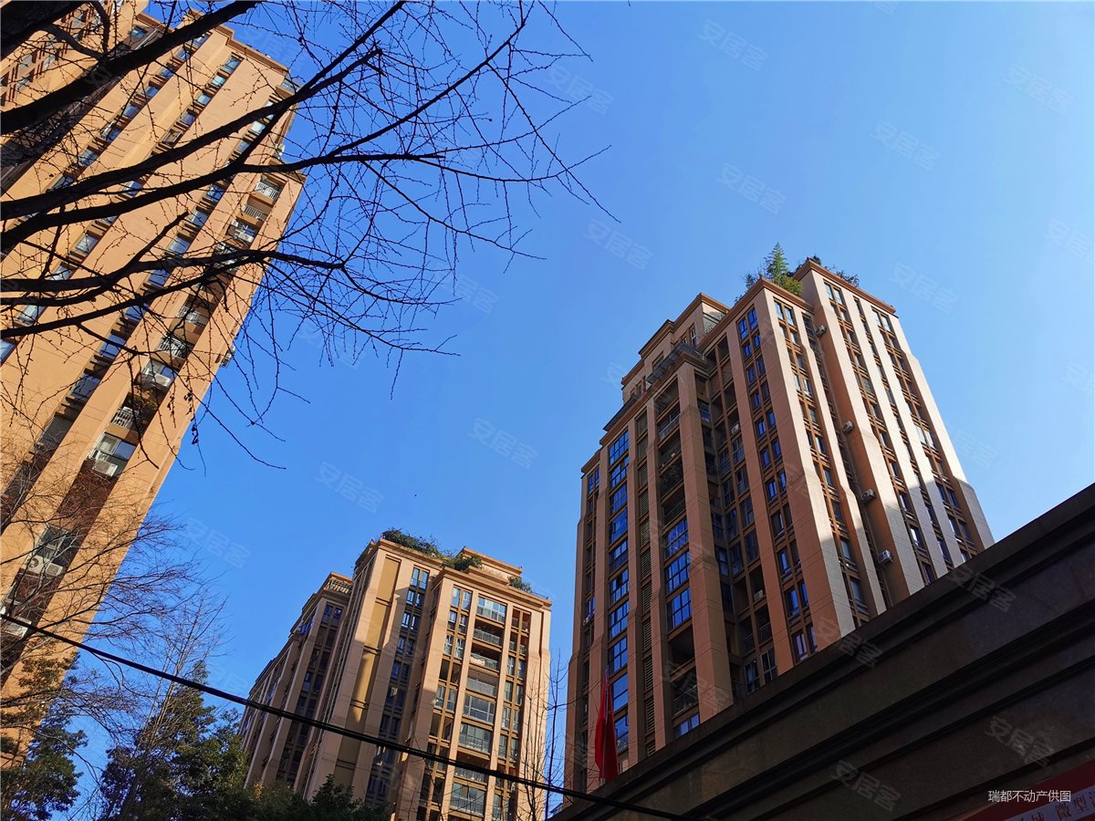 桐梓林欧城2室2厅1卫88.14㎡南北252万